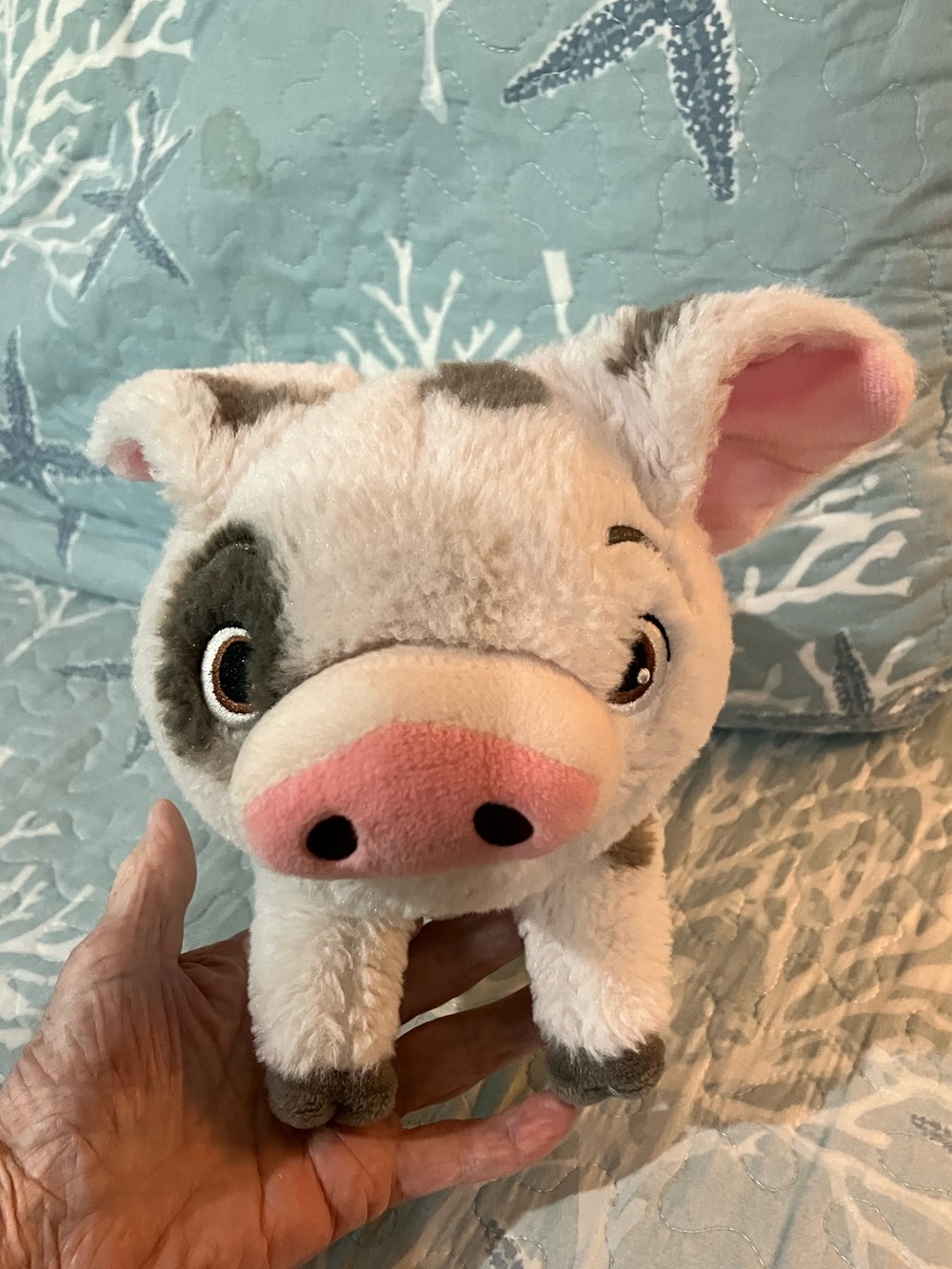 Disney Pus from movie Moana